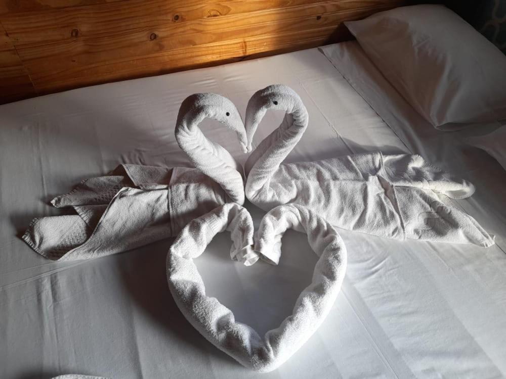 Double Room,1154670999:JPEG